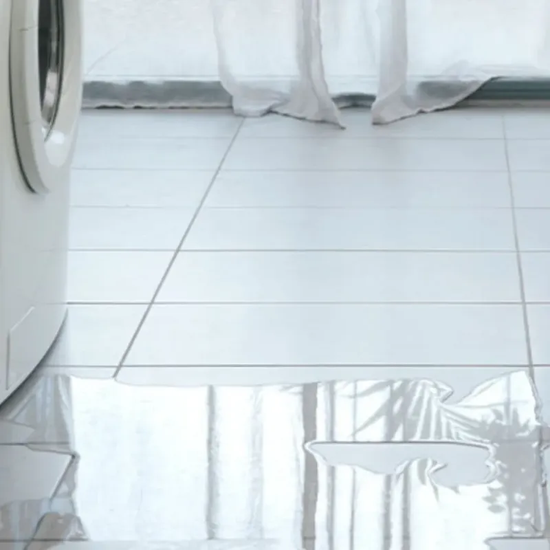 Appliance Leak Cleanup in Mondovi, WI