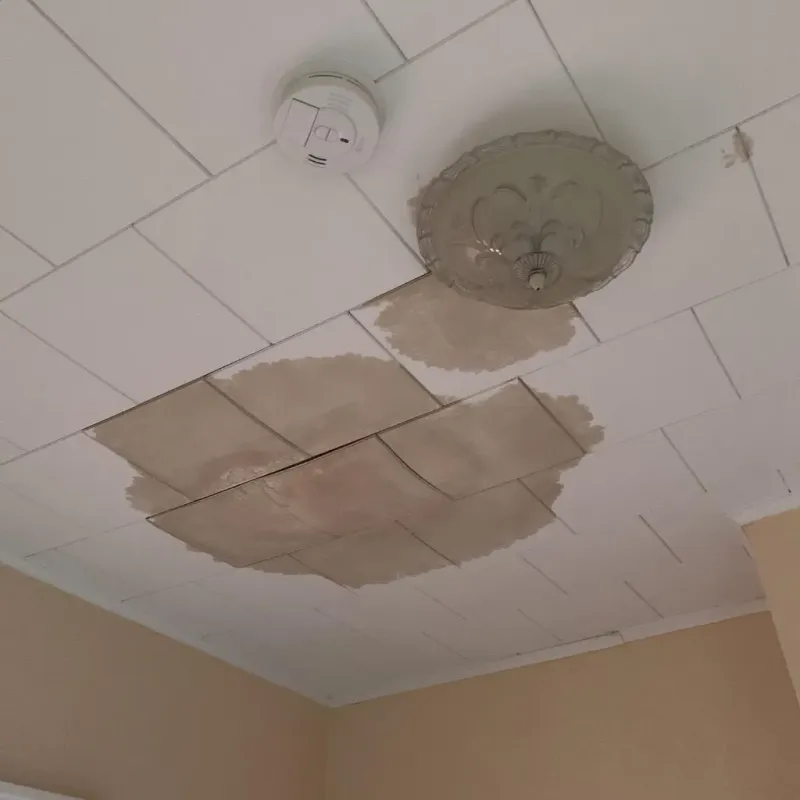Ceiling Water Damage Repair in Mondovi, WI