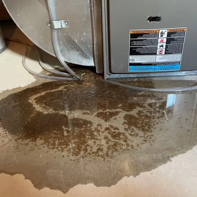 Pipe Burst and Leak Restoration in Mondovi, WI